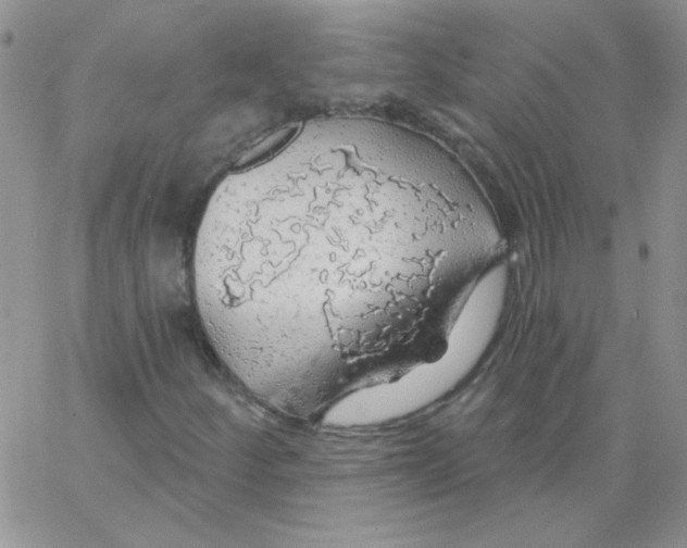 X0000062911252200602031848