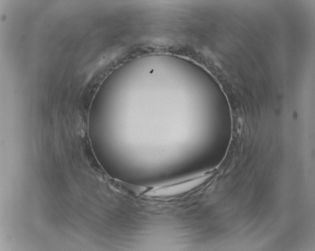 X0000062911253200602031848