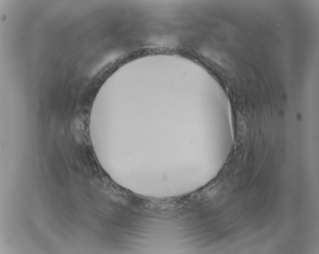 X0000062911254200602031848