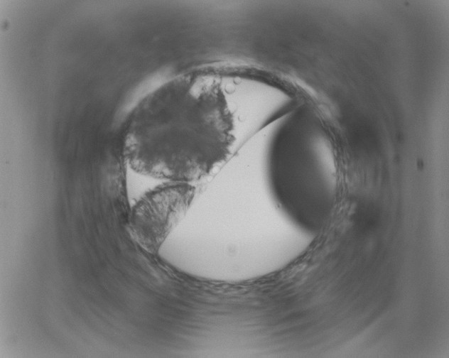 X0000062911255200602031848