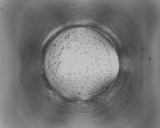 X0000062911256200602031848