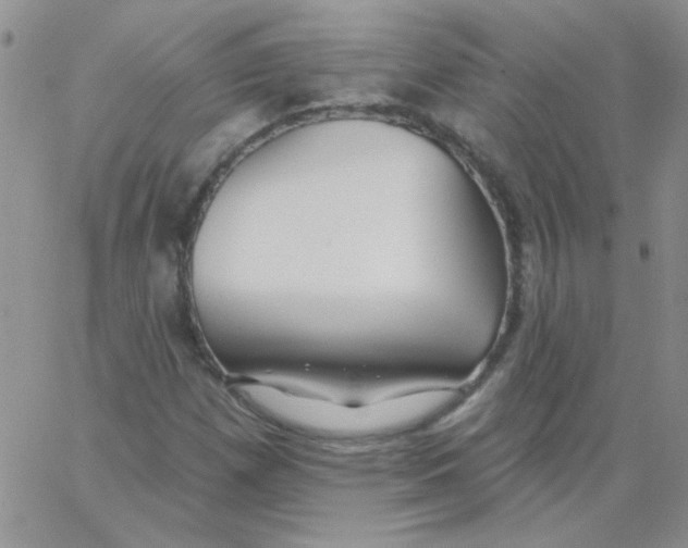 X0000062911257200602031848