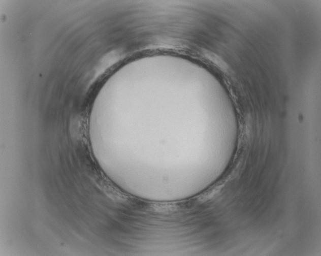 X0000062911258200602031848