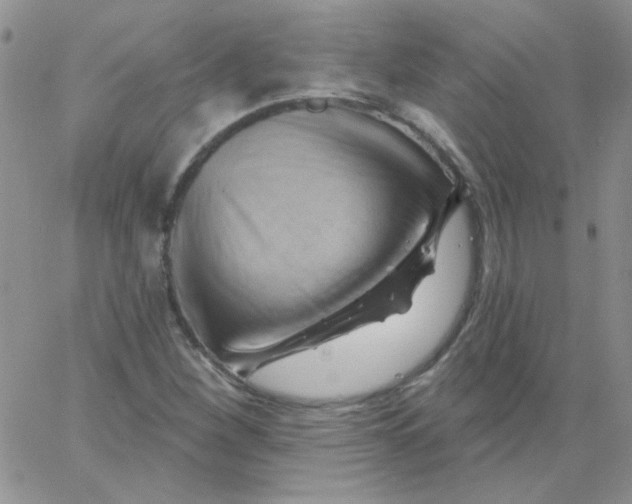 X0000062911260200602031848