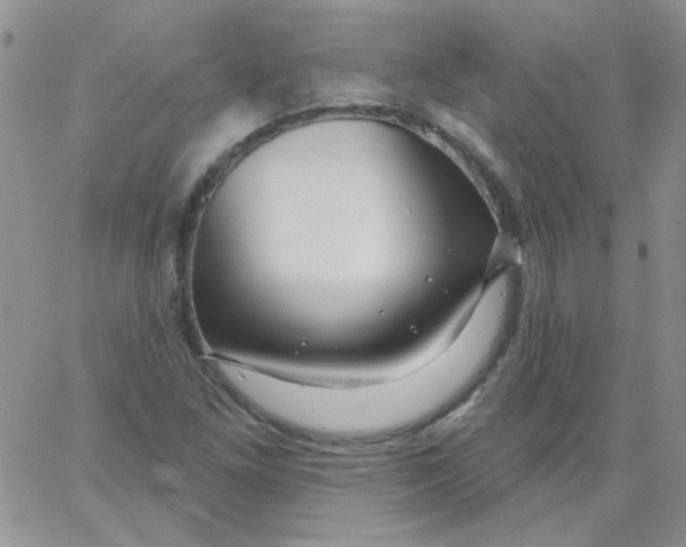 X0000062911261200602031848