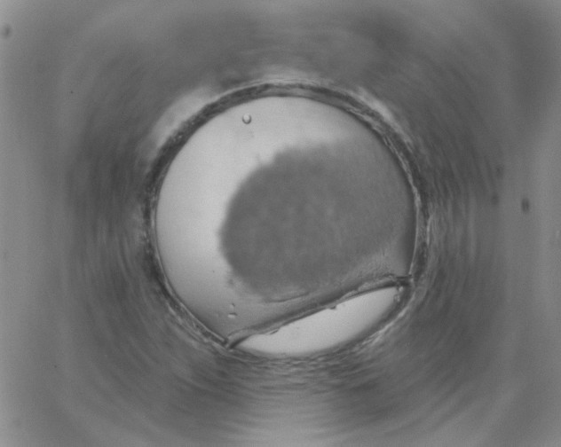 X0000062911263200602031848