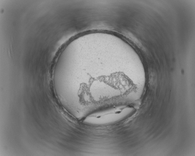 X0000062911264200602031848