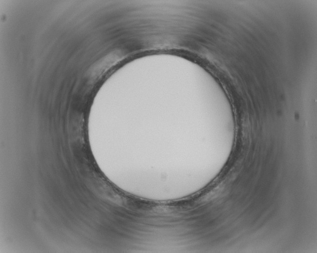 X0000062911265200602031848