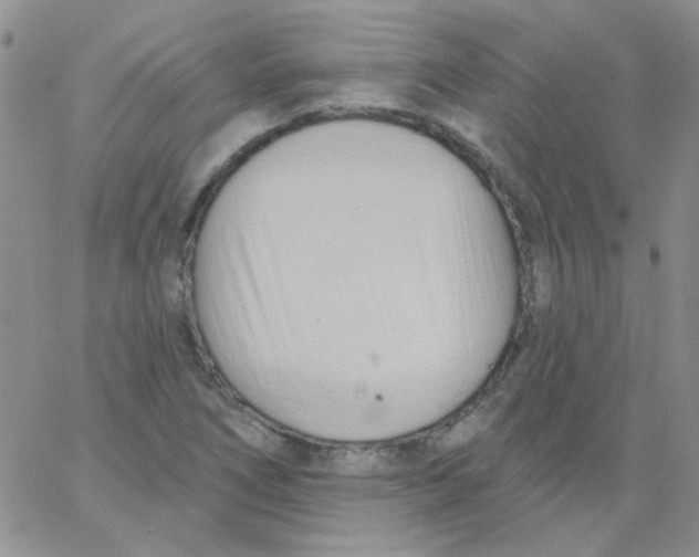 X0000062911266200602031848