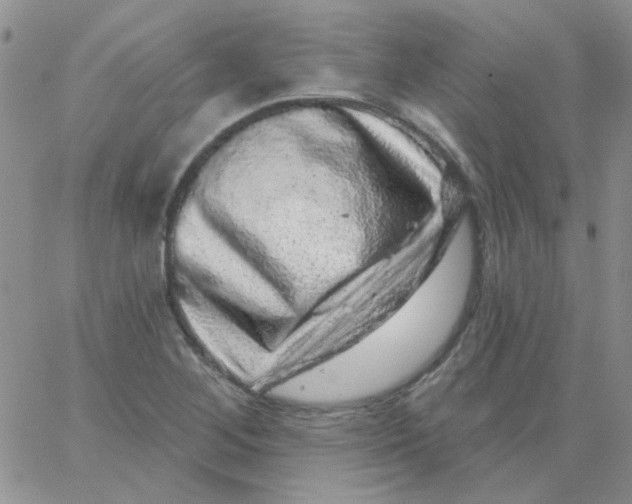 X0000062911268200602031848