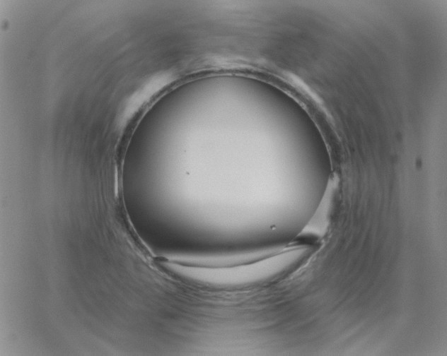 X0000062911269200602031848