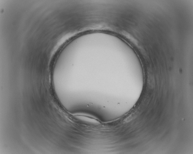 X0000062911270200602031848