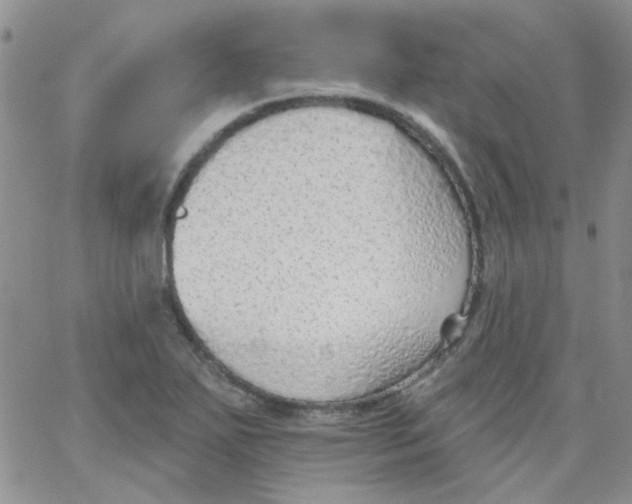 X0000062911271200602031848