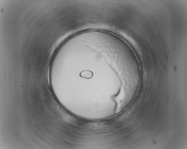 X0000062911272200602031848