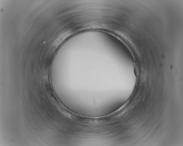 X0000062911273200602031848