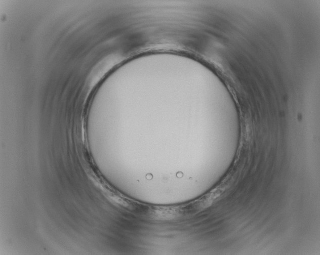 X0000062911274200602031848