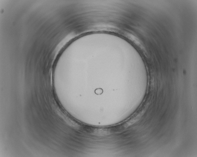 X0000062911275200602031848