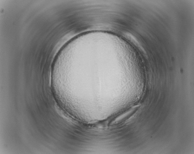 X0000062911276200602031848