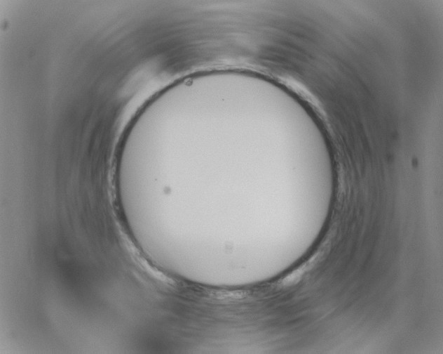 X0000062911278200602031848