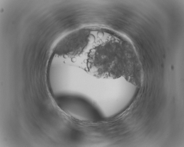 X0000062911279200602031848