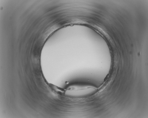 X0000062911281200602031848