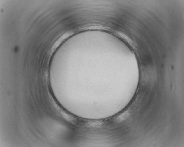 X0000062911282200602031848