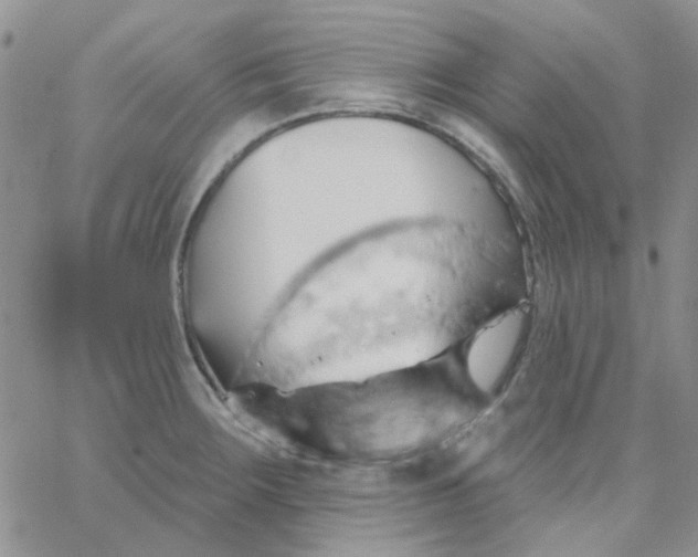 X0000062911283200602031848