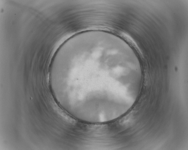 X0000062911284200602031848