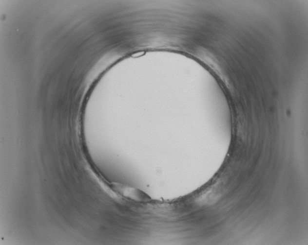 X0000062911285200602031848