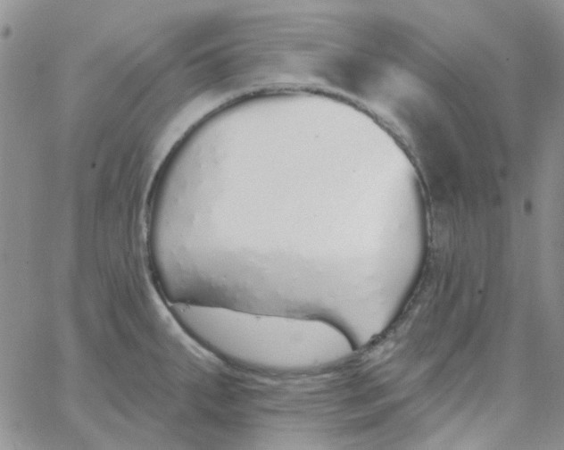 X0000062911287200602031848