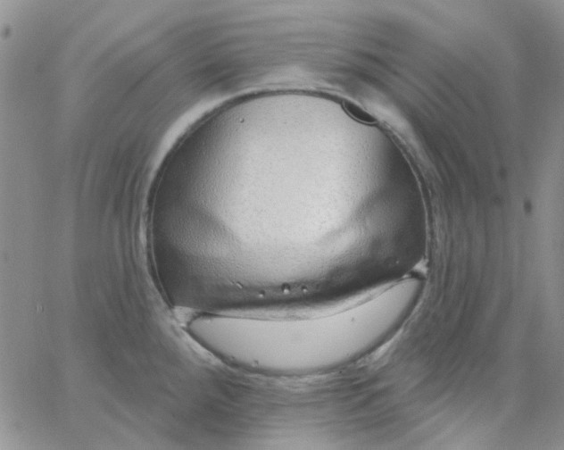 X0000062911288200602031848