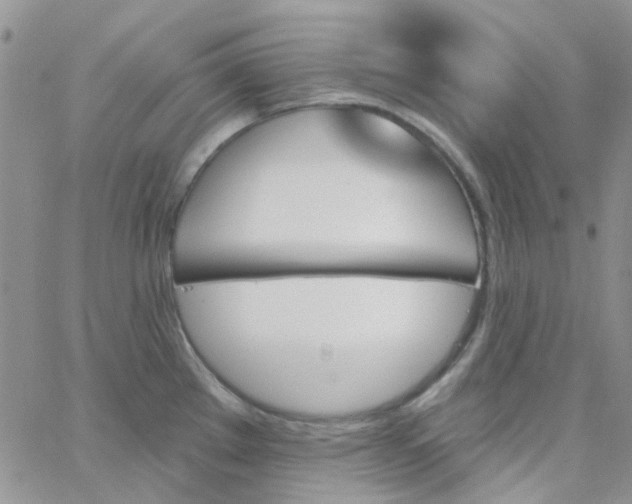 X0000062911289200602031848