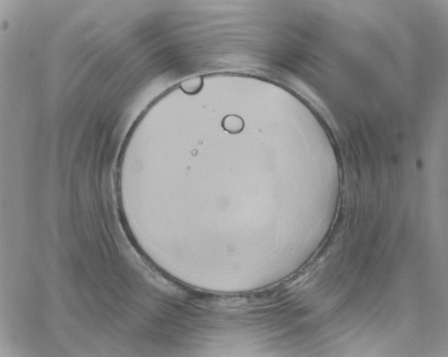 X0000062911291200602031848