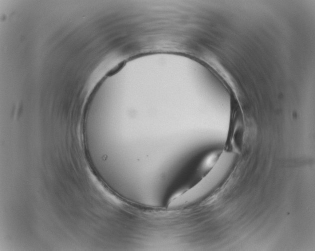 X0000062911293200602031848