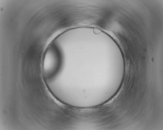 X0000062911294200602031848