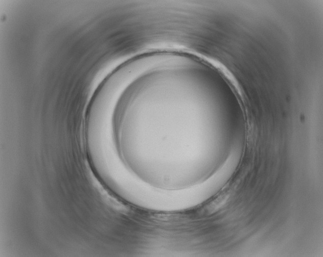 X0000062911295200602031848