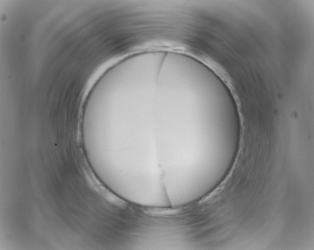 X0000062911296200602031847