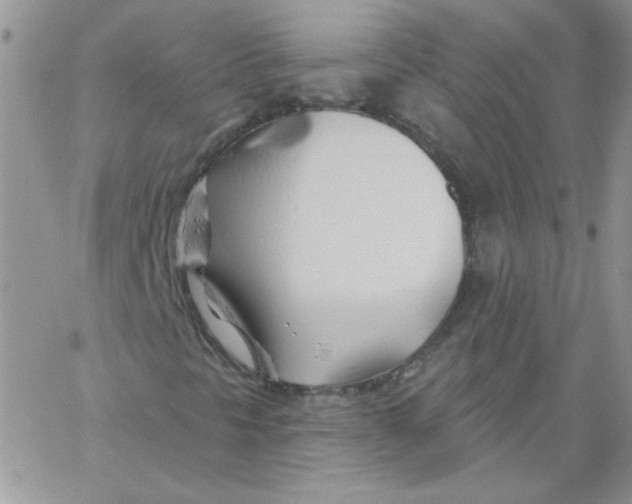 X0000062911297200602031847