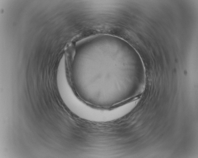 X0000062911298200602031847