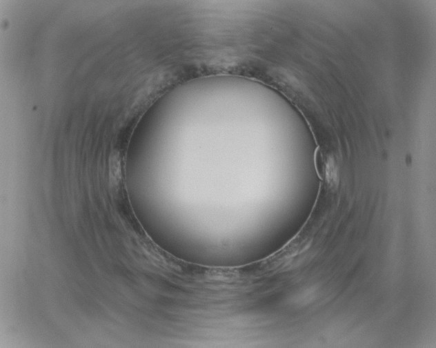 X0000062911299200602031847