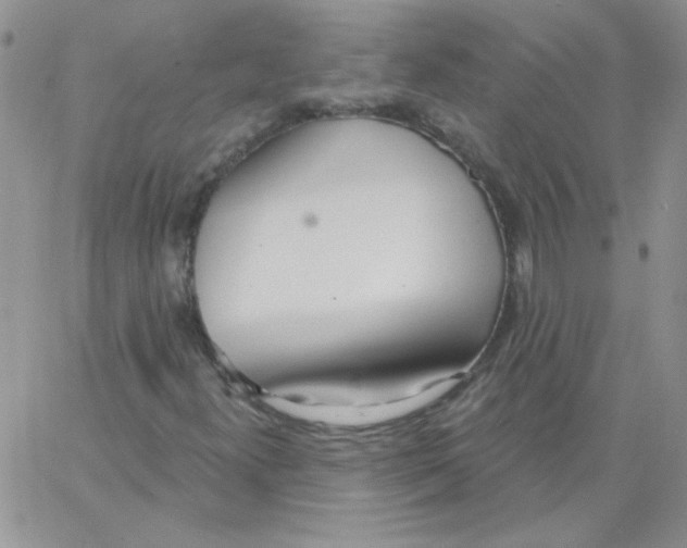 X0000062911300200602031847