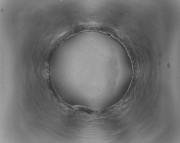 X0000062911301200602031847