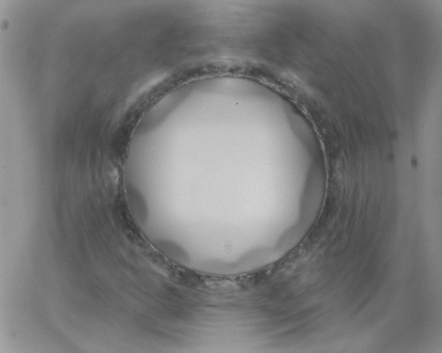 X0000062911302200602031847