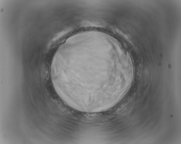 X0000062911303200602031847