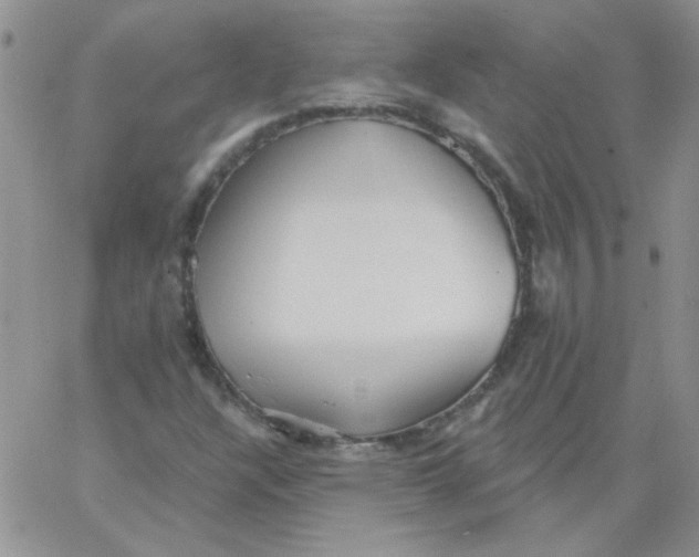 X0000062911304200602031847