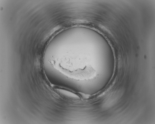 X0000062911305200602031847