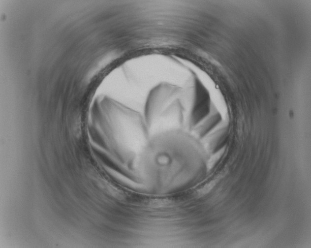 X0000062911306200602031847