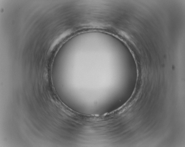 X0000062911307200602031847