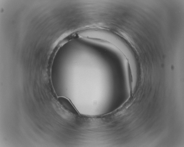 X0000062911308200602031847