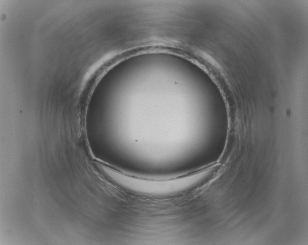 X0000062911310200602031847